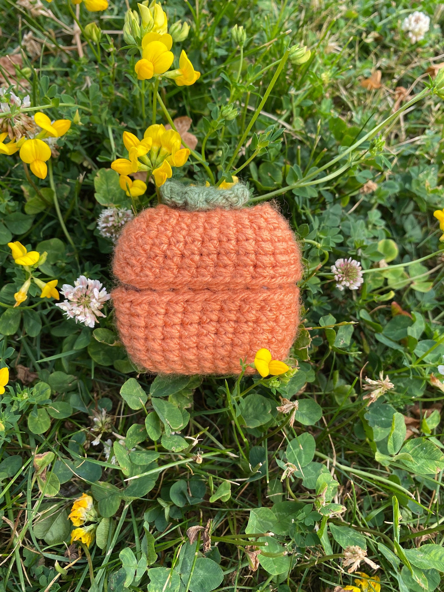 Crochet Airpod Case, Cute Kawaii Phone Accessories, Mushroom Airpod Cover, Apple Airpod Case, Knit Goose Airpod Pro Case, Earphone Covers